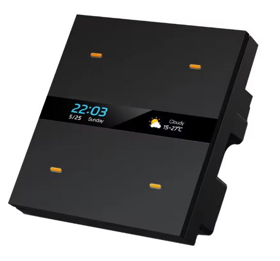 OLED Glass Switch